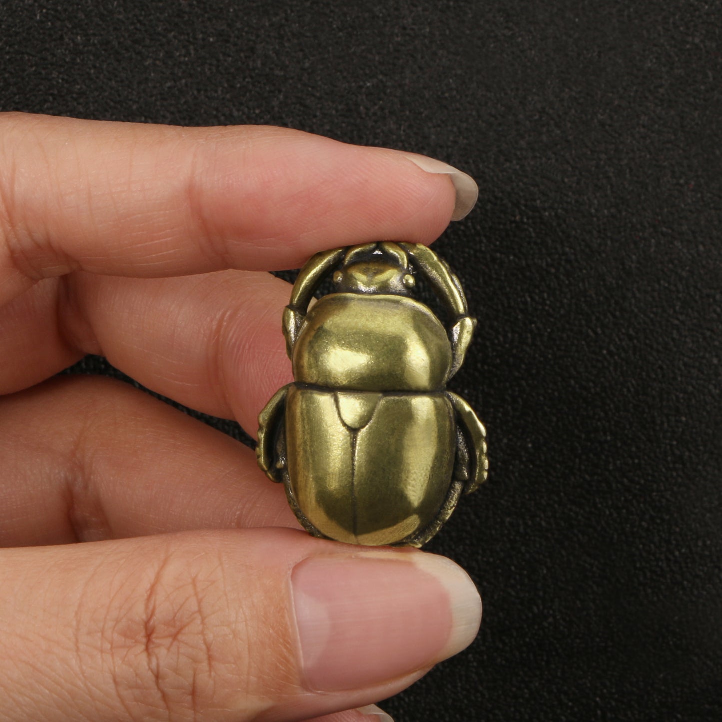 Brass Scarab Beetle
